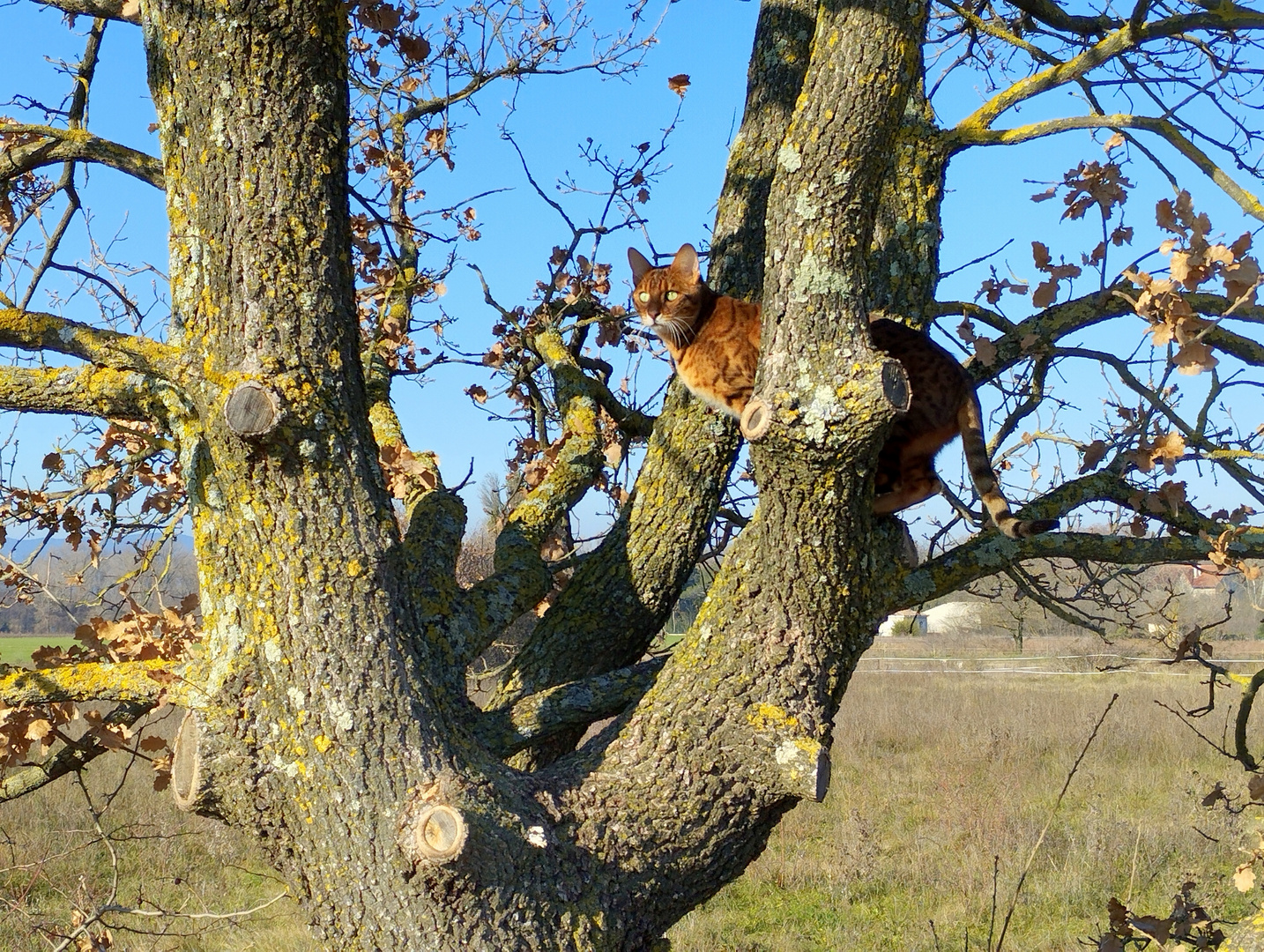 Rencontre !