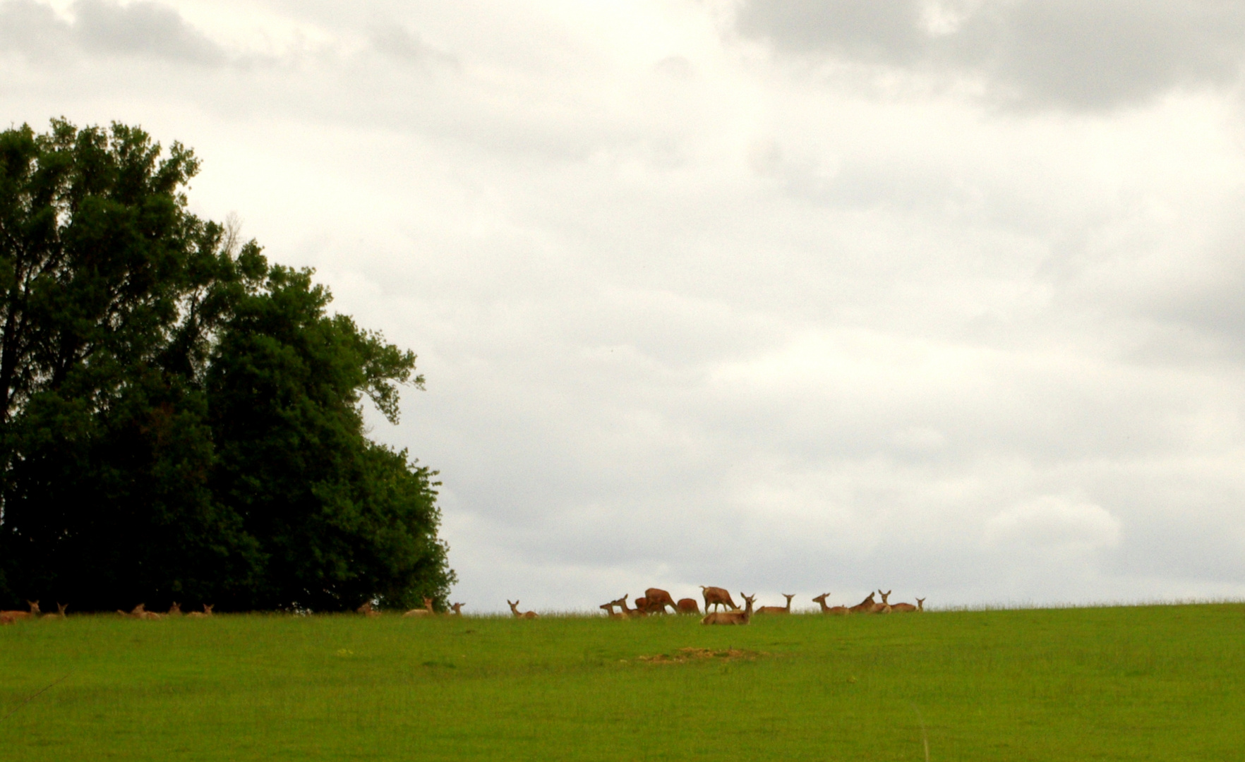 Rencontre !!!!