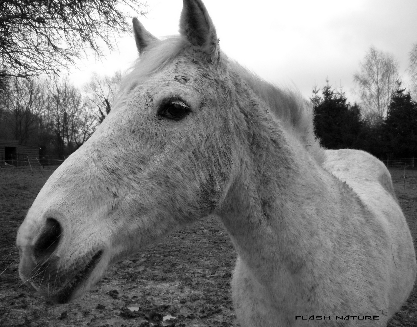 rencontre