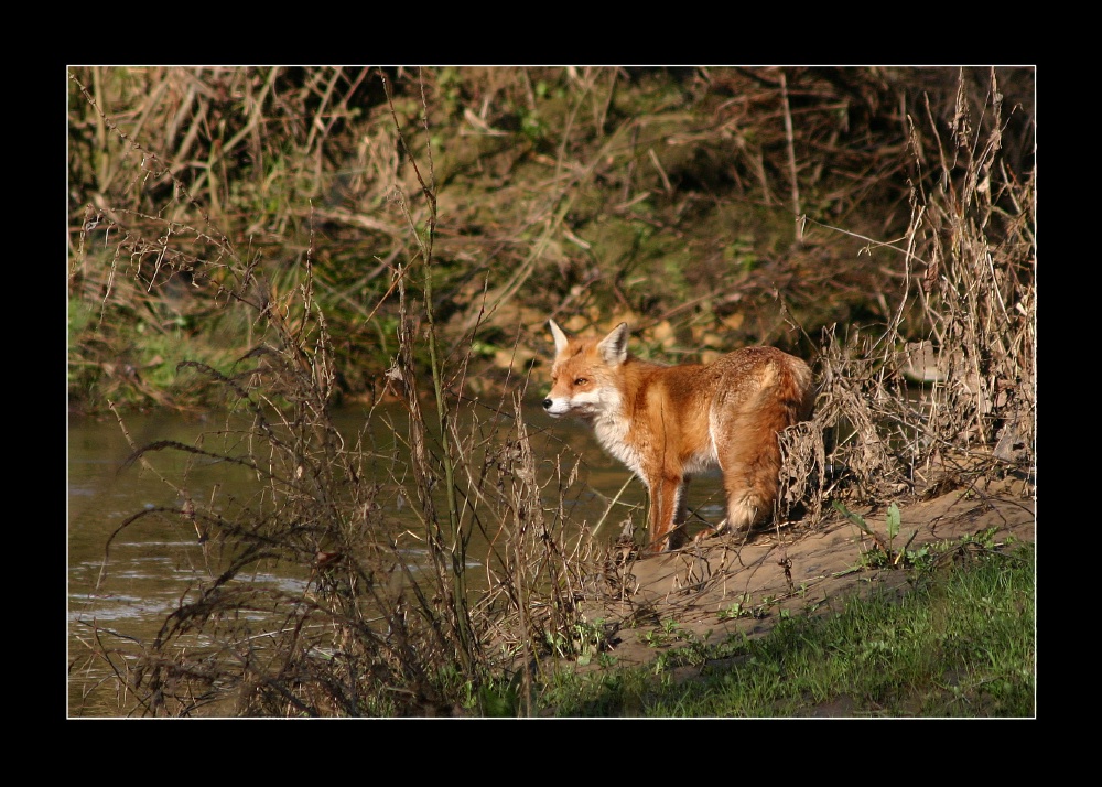 Rencontre