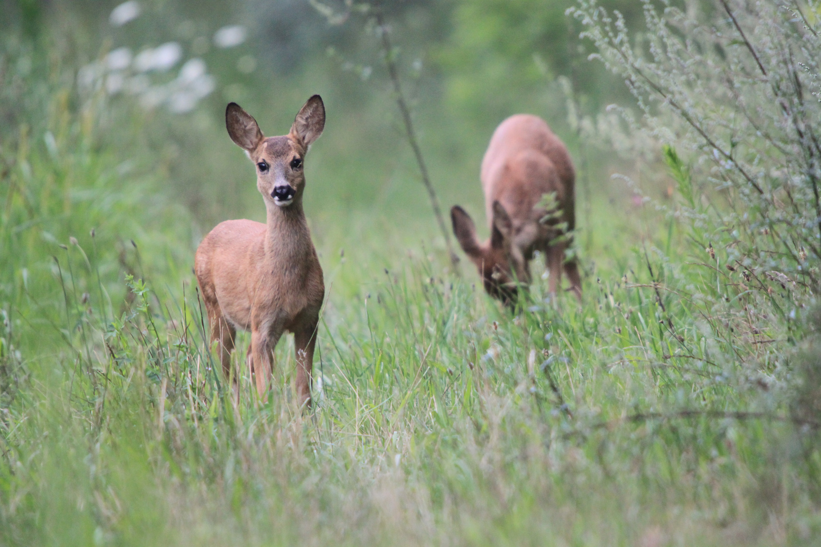 rencontre