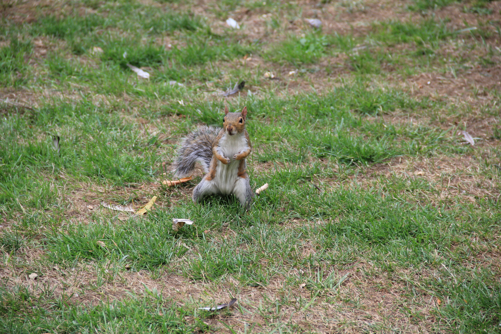 Rencontre à Hyde Park