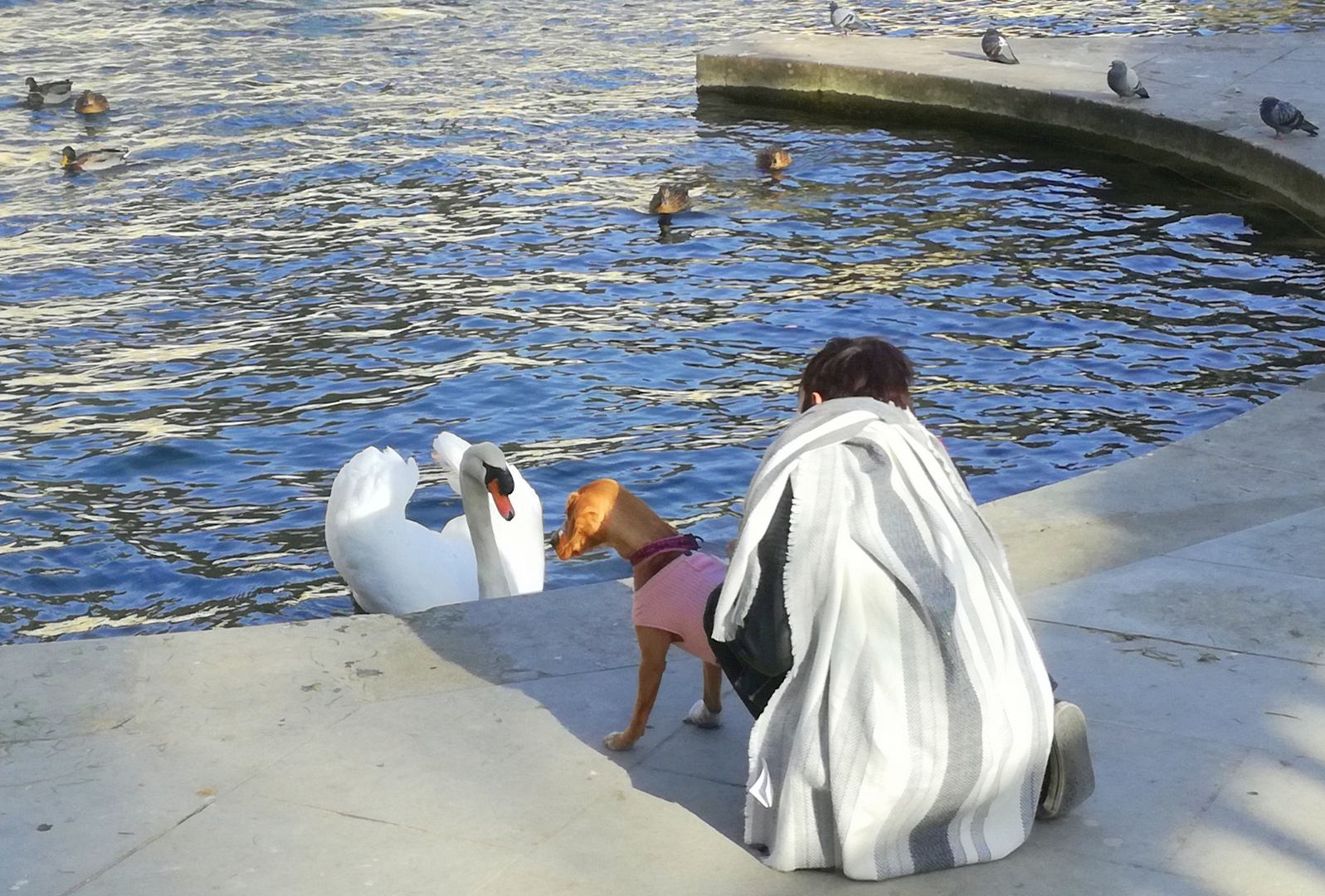 Rencontre à Nîmes ....