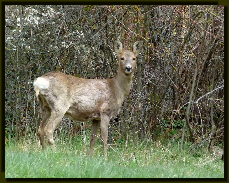 *rencontre*