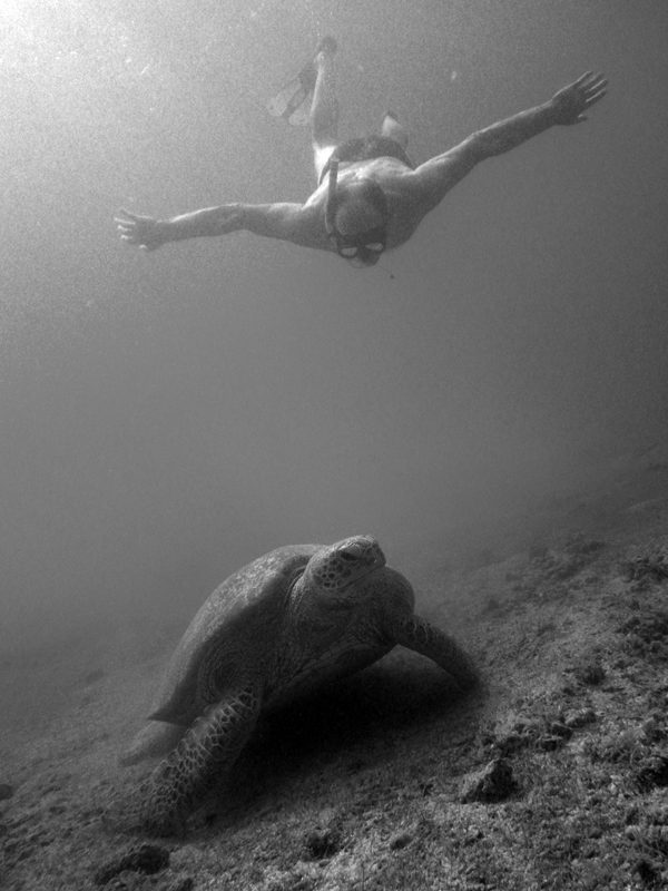 Rencontre aquatique de gabygabo 