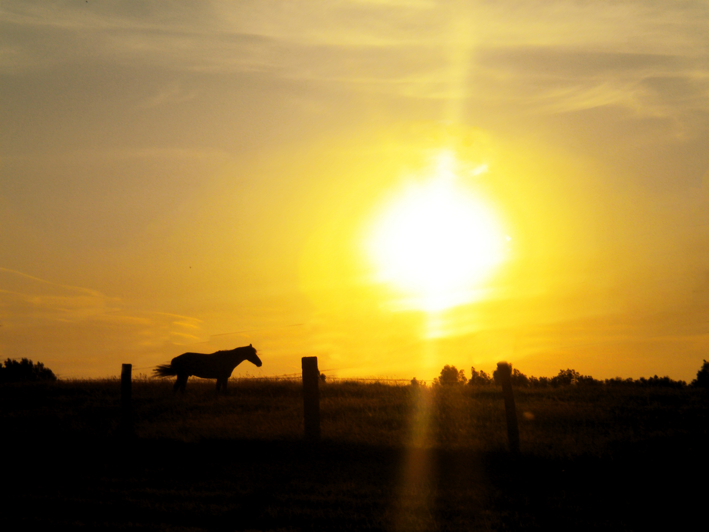 Rencontre au Crépuscule