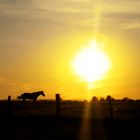 Rencontre au Crépuscule