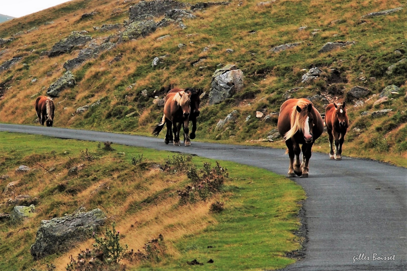 Rencontre au Pays Basque