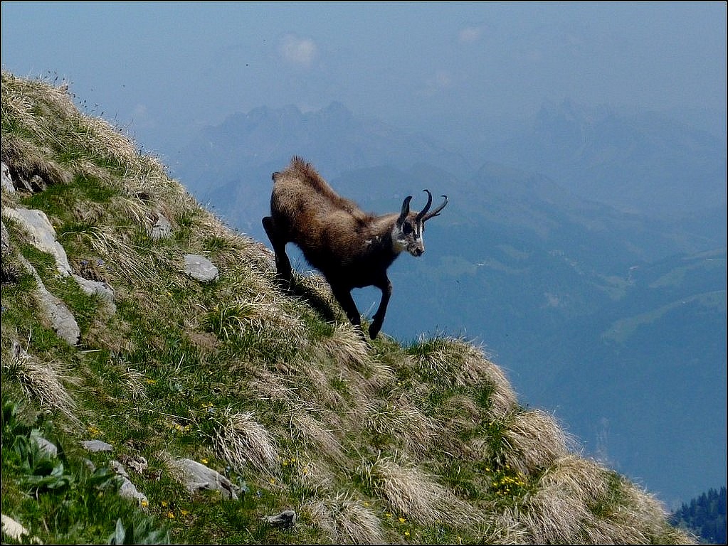 rencontre au sommet 2