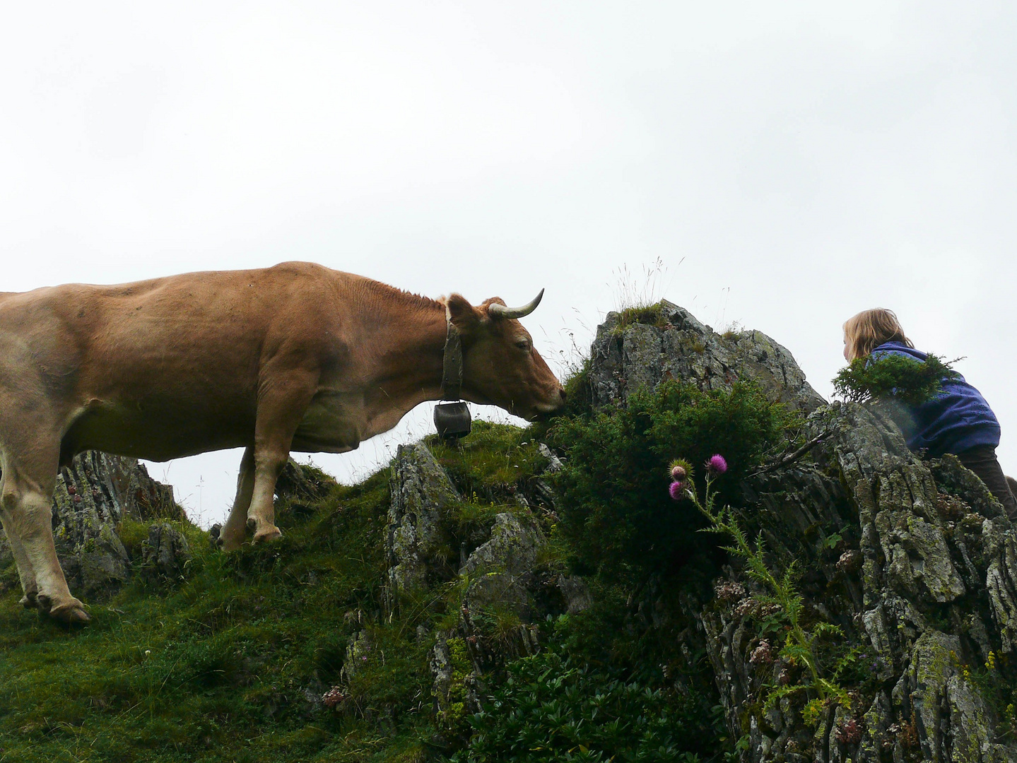 Rencontre au sommet...