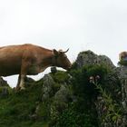 Rencontre au sommet...