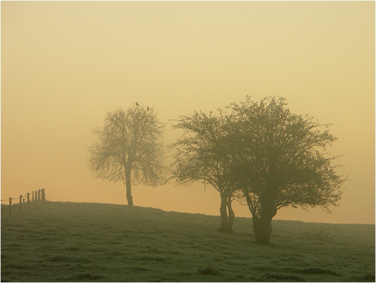 Rencontre au sommet