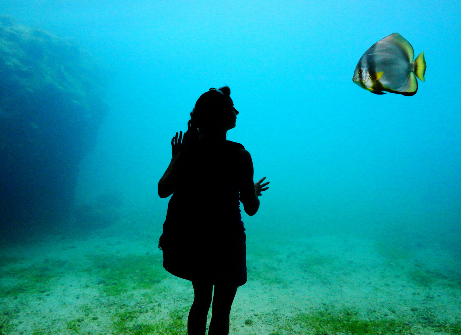 Rencontre avec un poisson