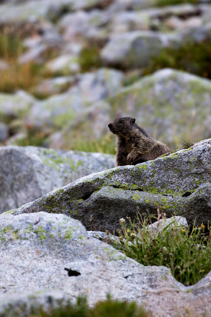 Rencontre ...