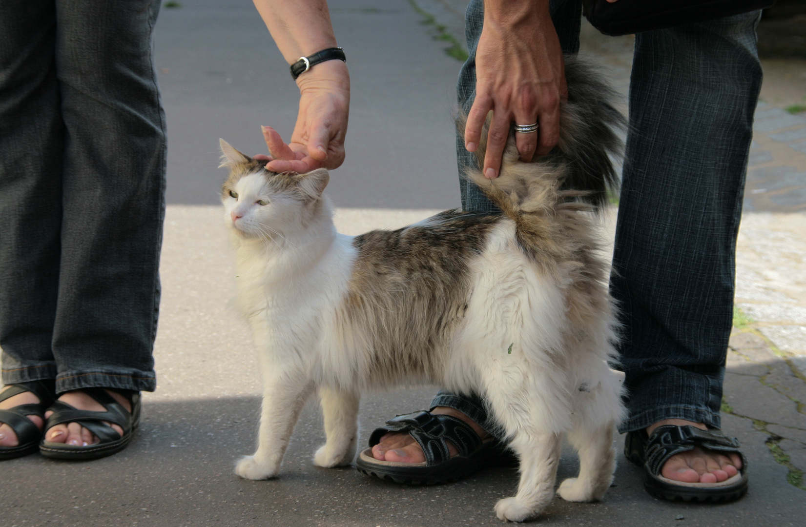 rencontre dans la rue 