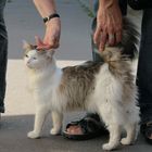 rencontre dans la rue 