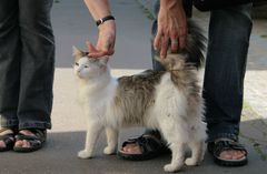 rencontre dans la rue 