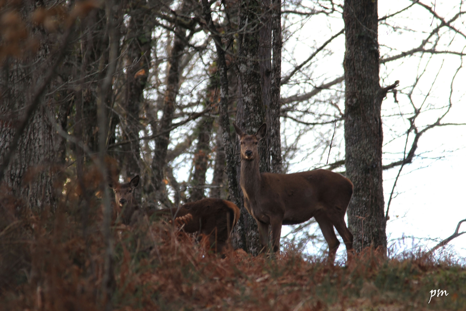 rencontre du jour