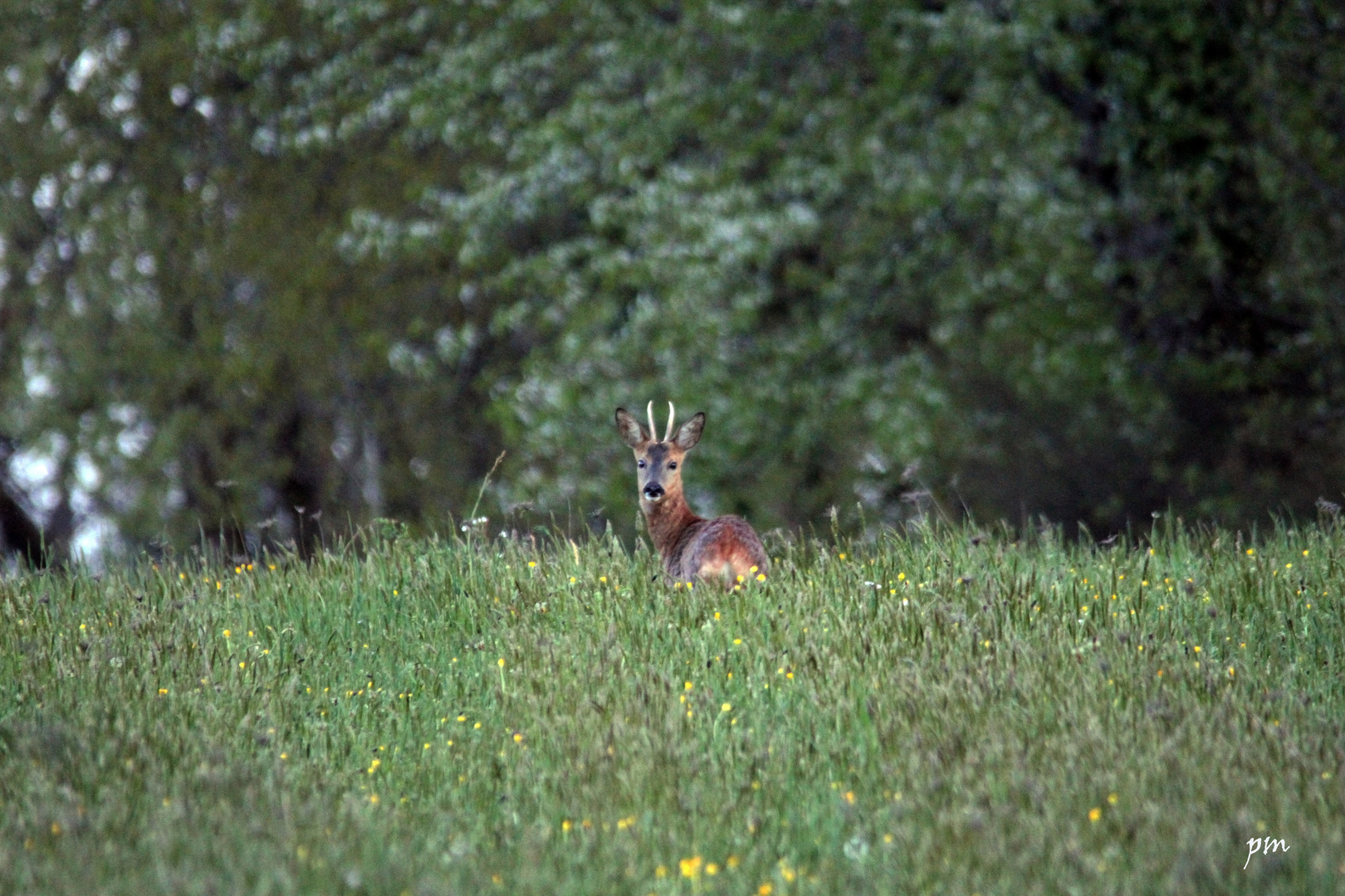 rencontre d'un soir