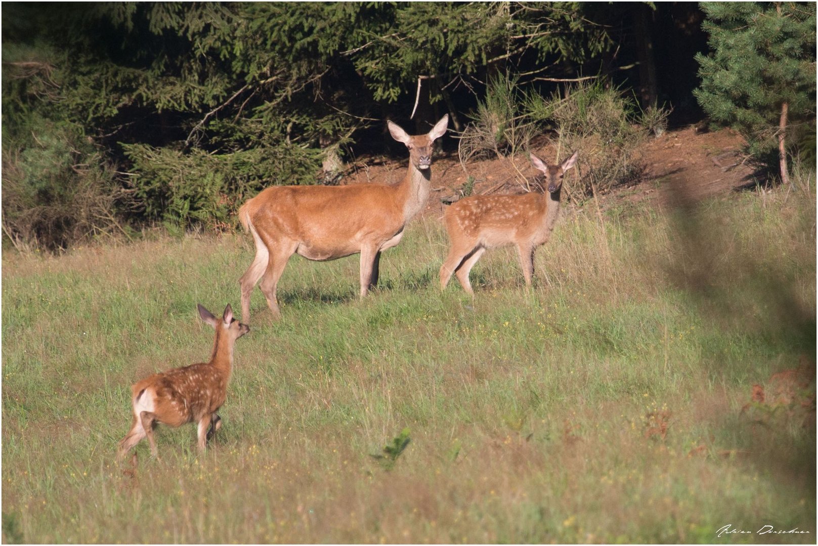 Rencontre !