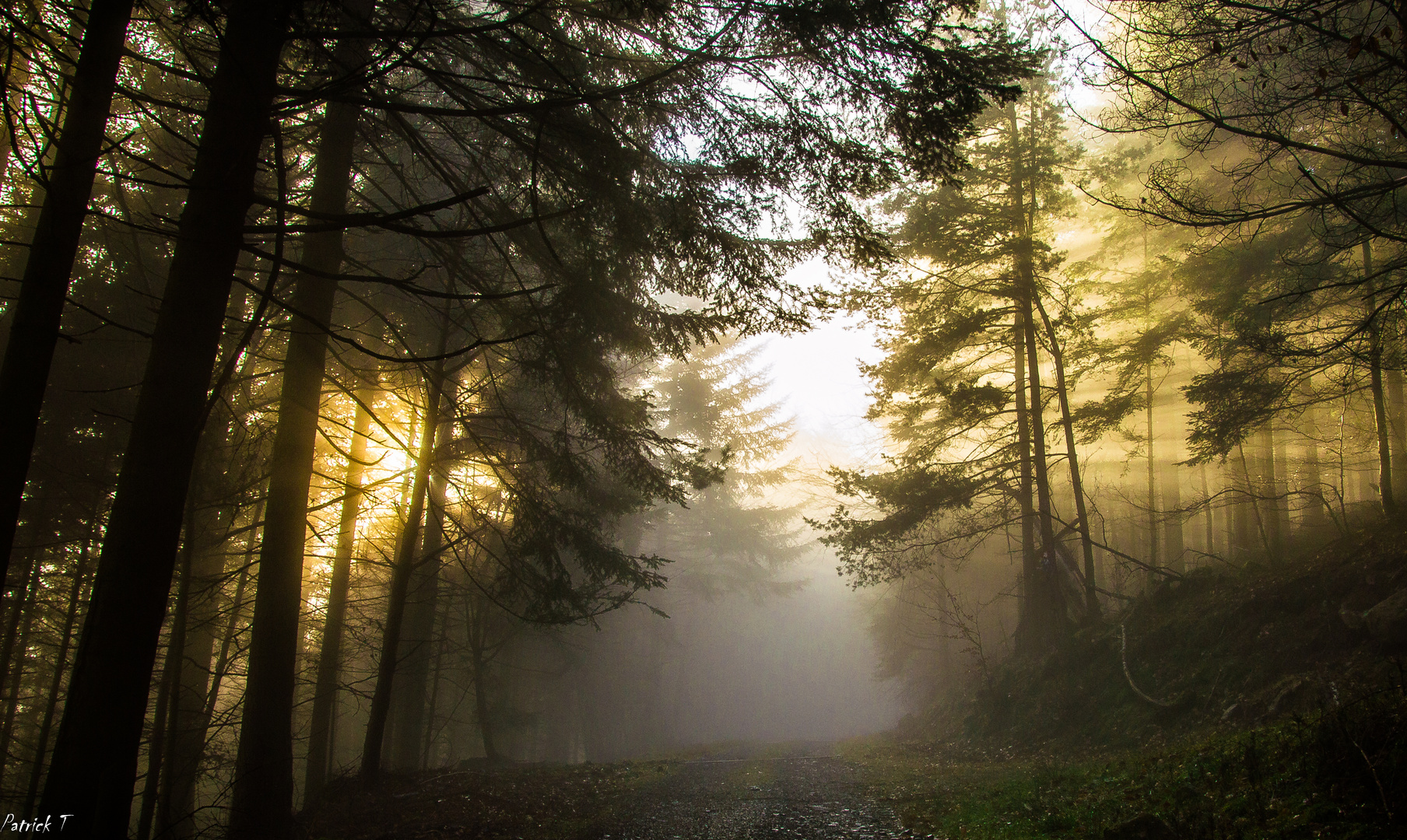 Rencontre entre le brouillard et le soleil