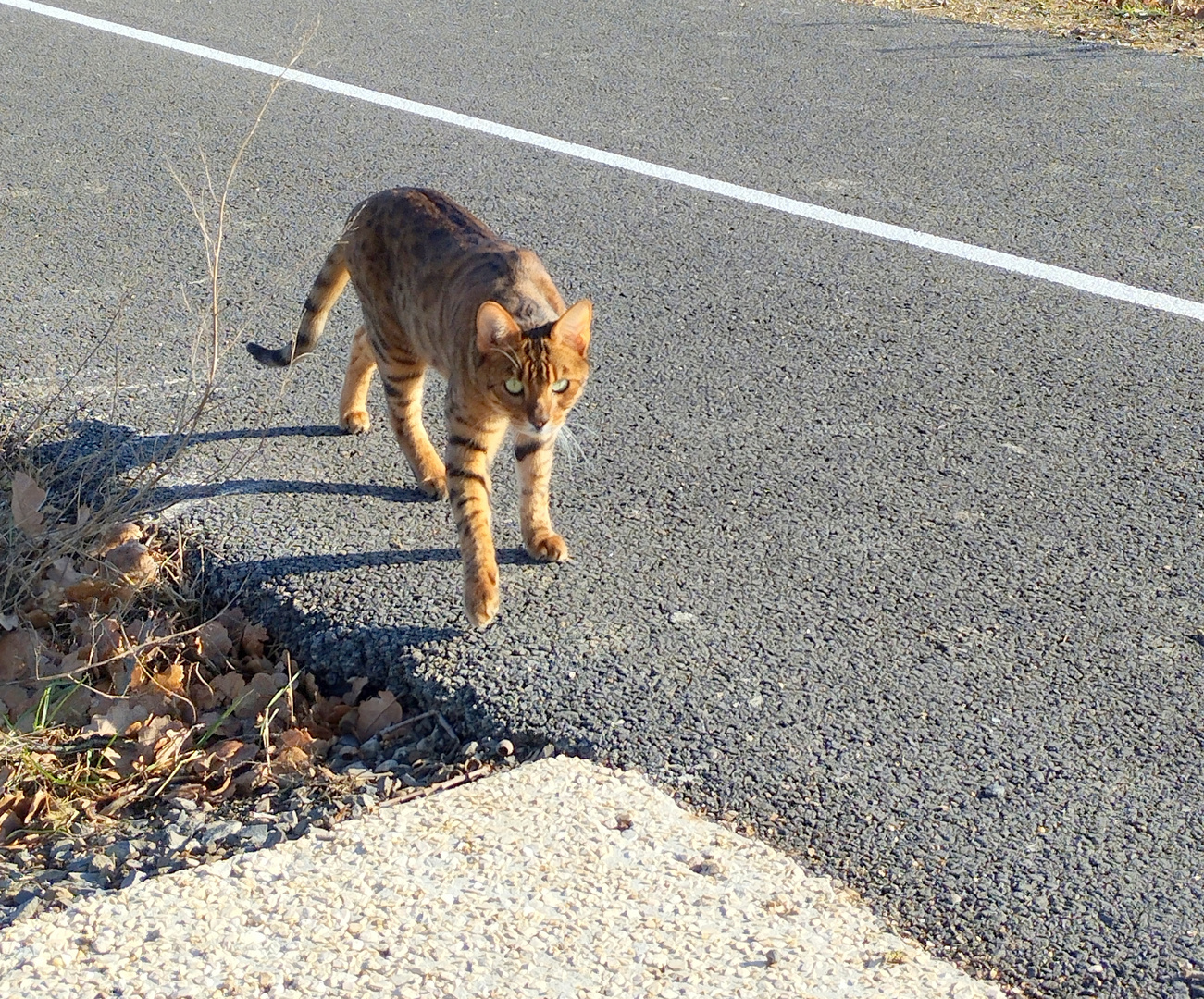 Rencontre !