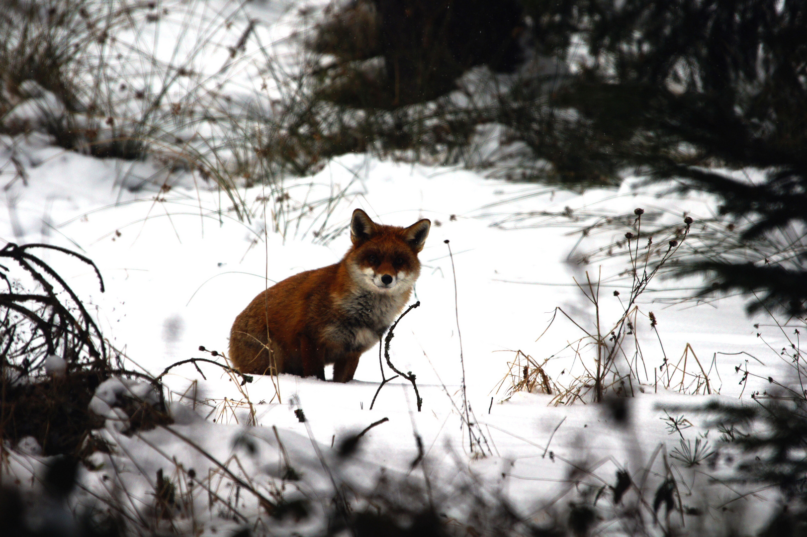 Rencontre