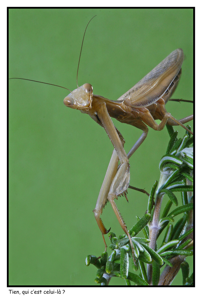 Rencontre impromptue