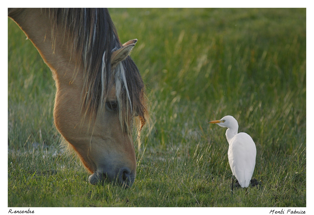 Rencontre insolite