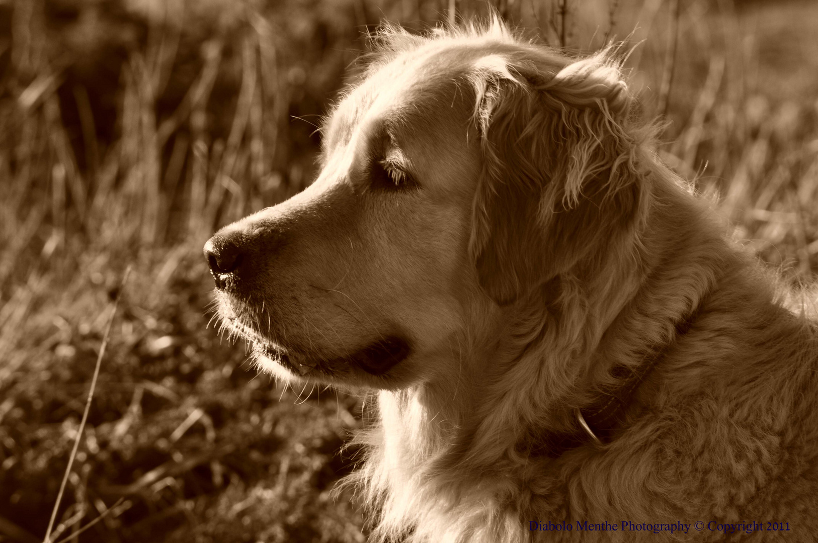 rencontre lors d'une ballade