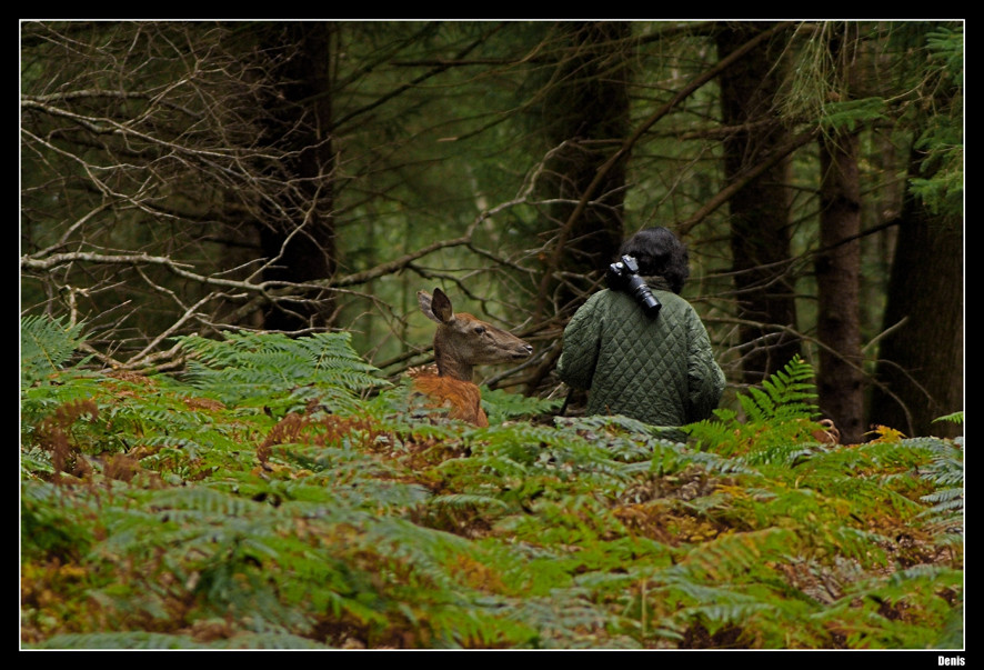 ...Rencontre magique...