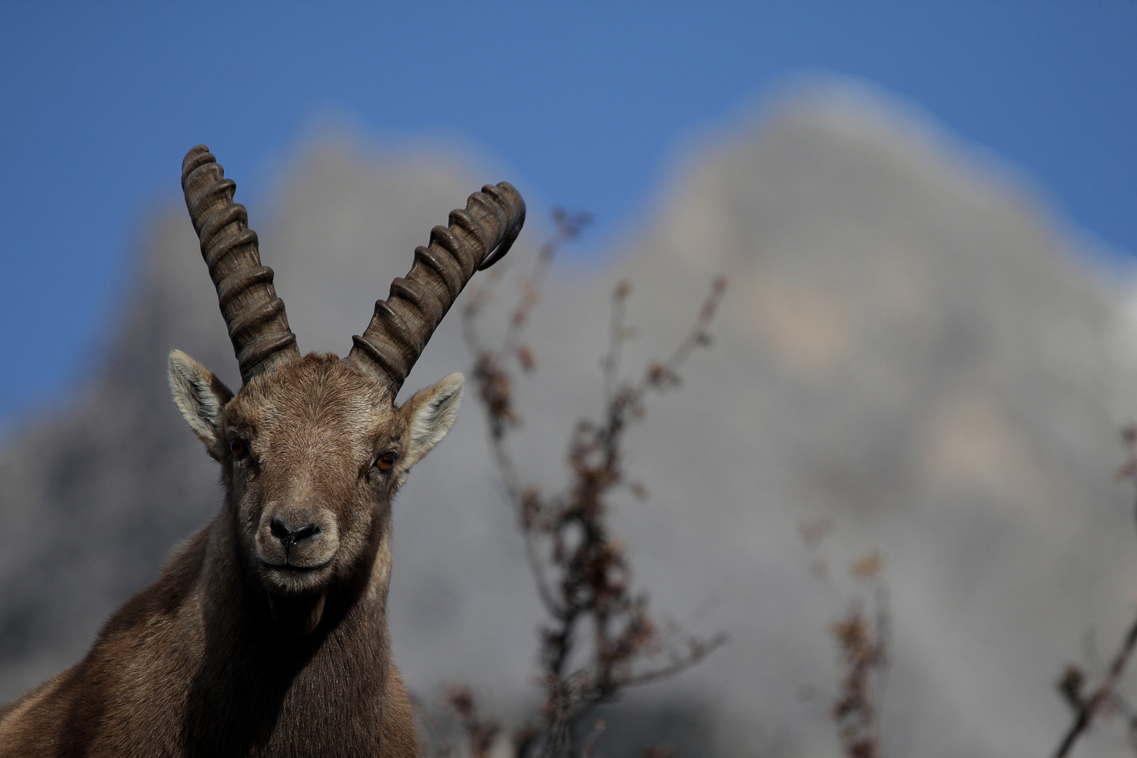 rencontre matinale