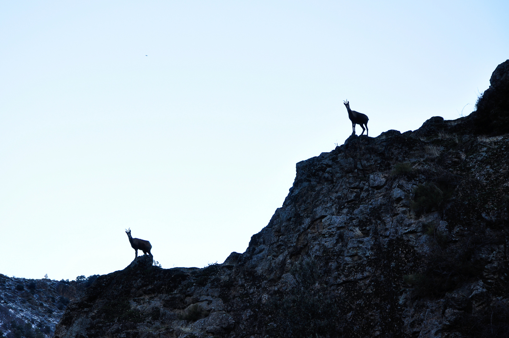 Rencontre matinale