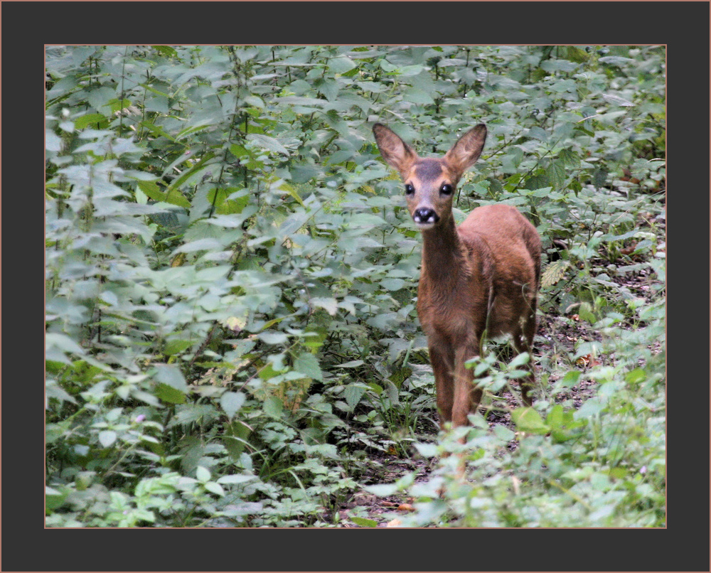 Rencontre matinale