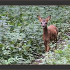 Rencontre matinale