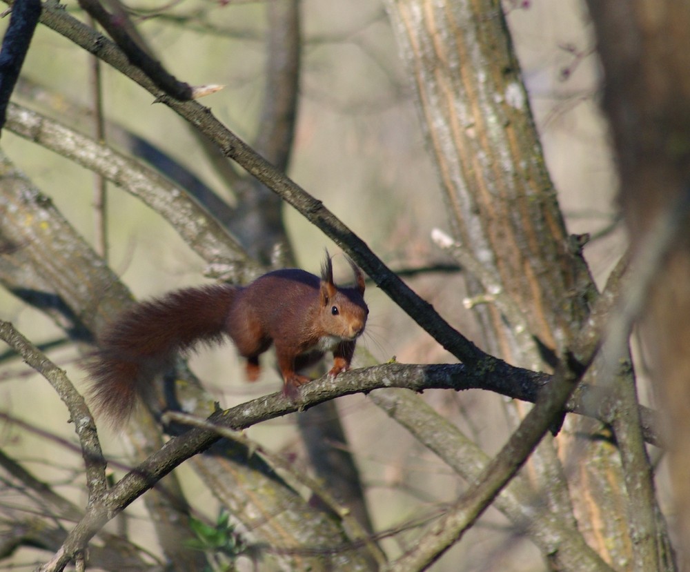 rencontre matinale