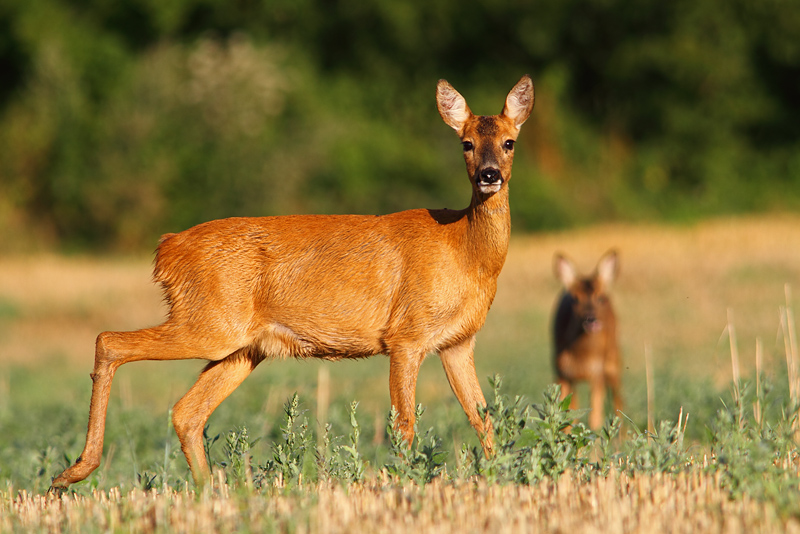 Rencontre matinale