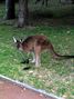 Rencontre nocturne de Patdel 