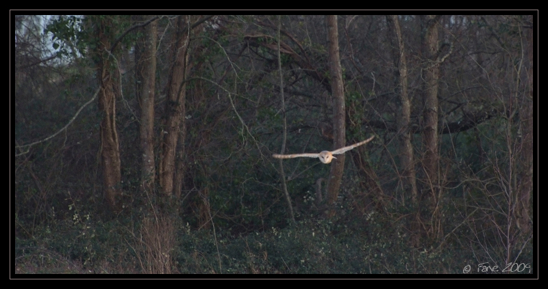 Rencontre nocturne..?..part 2