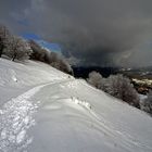 Rencontre Pays basque