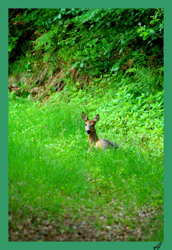 rencontre surprenante....