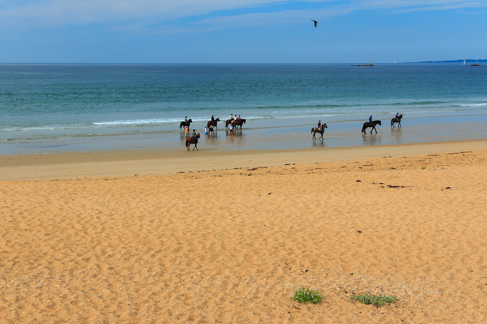 Rencontres sur la plage