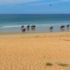 Rencontres sur la plage