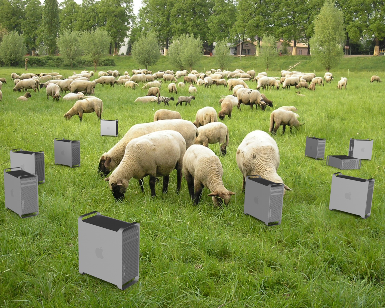 Renderfarm