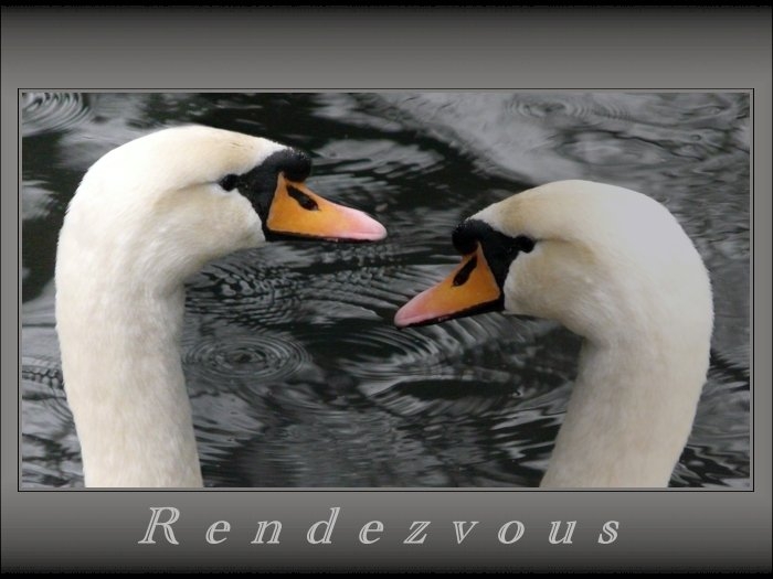 Rendezvous