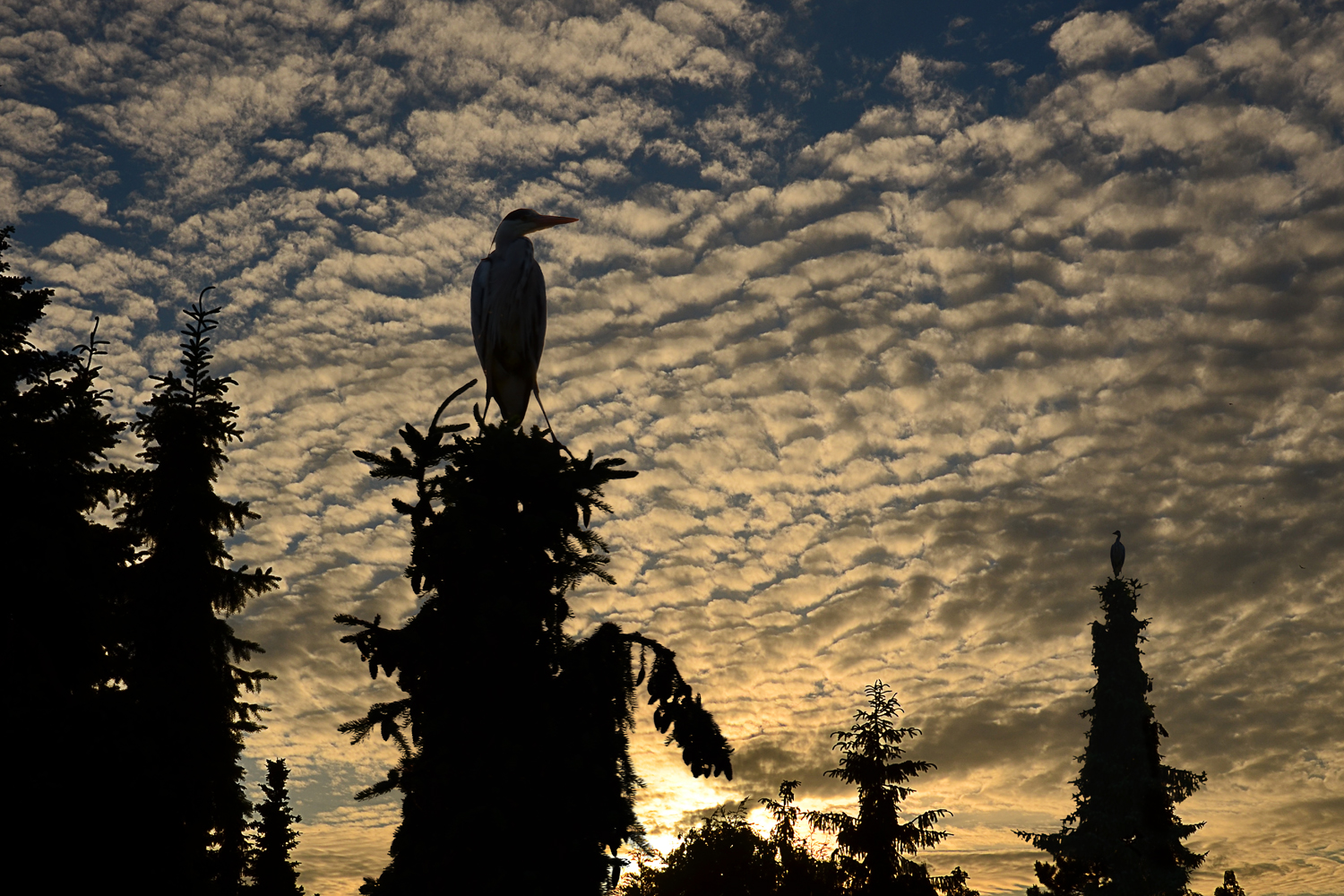 Rendezvous am Abend