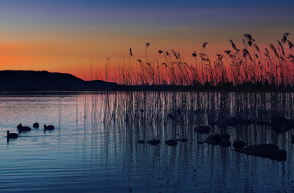 Rendezvous am See ...