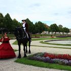 Rendezvous im Schloßpark