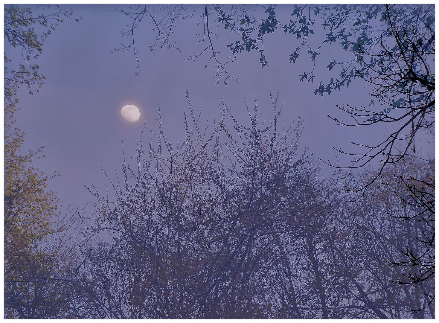 Rendezvous mit dem Mond