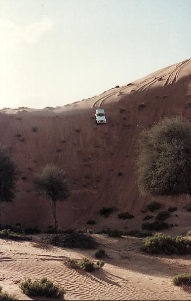 renegade- down dune
